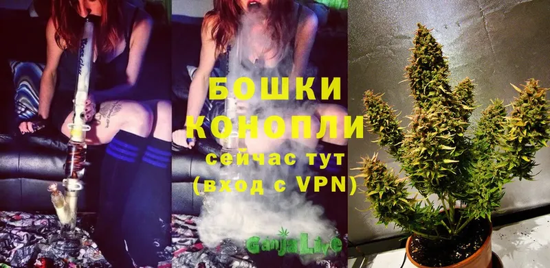 хочу наркоту  Чишмы  Бошки Шишки SATIVA & INDICA 